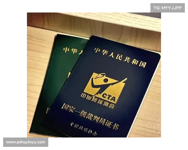 网球比赛裁判员培训课程全面指南 提升裁判素质与比赛管理能力 网球比赛裁判员培训课程全面指南 提升裁判素质与比赛管理能力