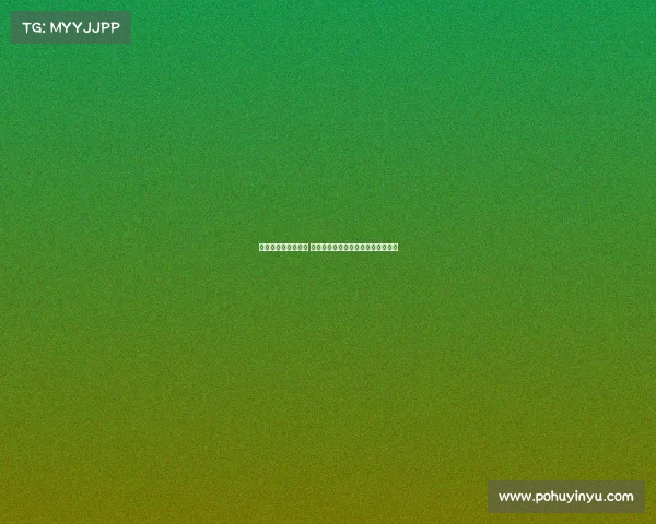 杨瀚森试训经历总结 各方面收获丰富并独立面对多队考察