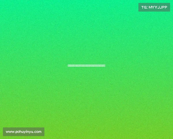 谢什科的崛起:在压力与挑战中锻造力量与雄心的传奇旅程 谢什科的崛起:在压力与挑战中锻造力量与雄心的传奇旅程