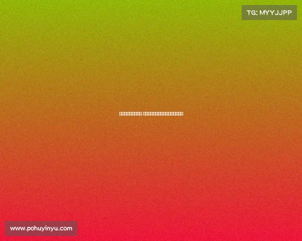 杨瀚森试训经历总结 各方面收获丰富并独立面对多队考察