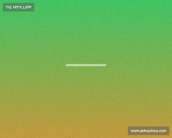 德甲裁判员的职业挑战与技术演进分析如何提升裁判执法精准度